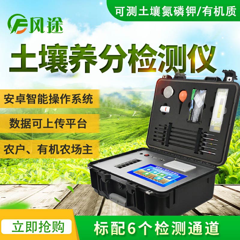大棚移栽定植，要做好土壤養分的補充